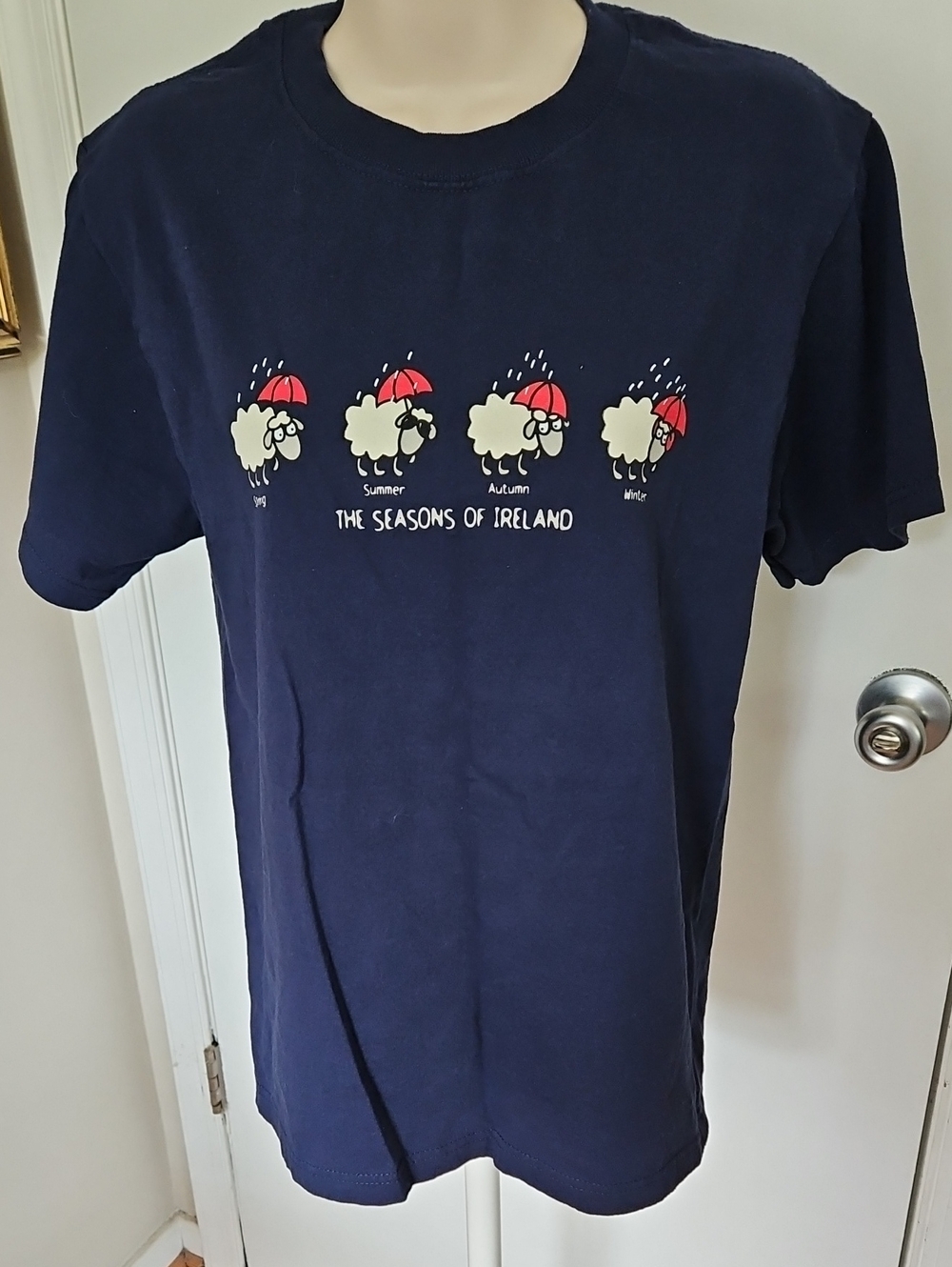 The Seasons Of Ireland Sheep Shirt Size S